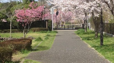 🏞️ 오오도이케 공원(지바시 오오도이케코엔)